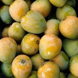 himsagar (হিমসাগর আম)
