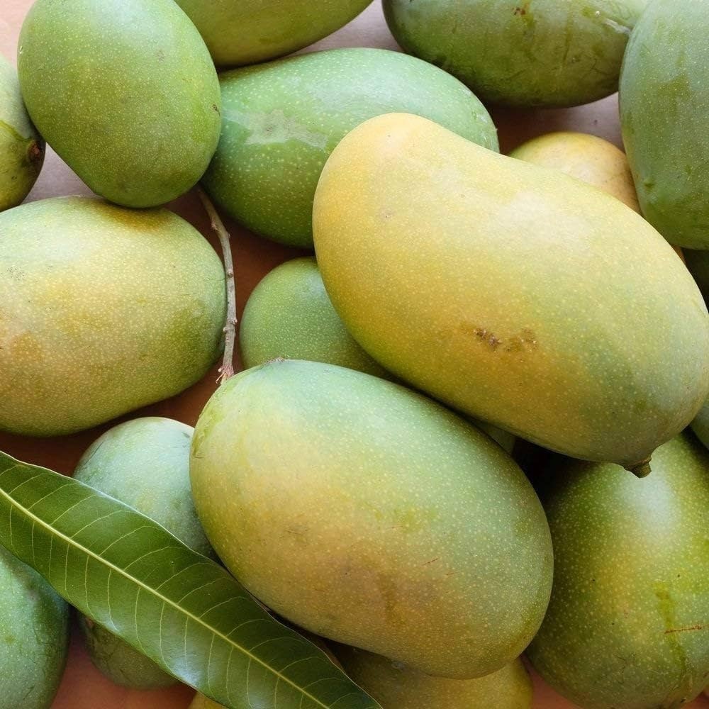 আম রুপালি